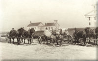 Town Common 1880
