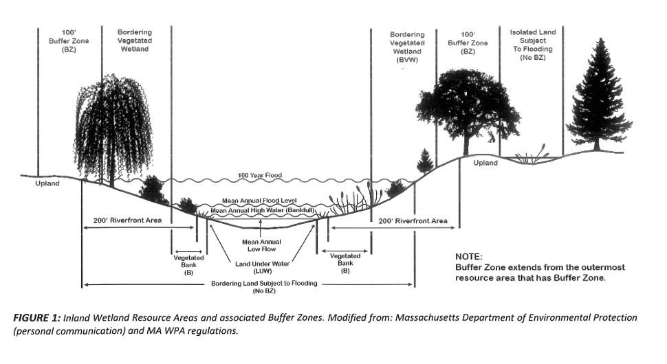 Wetlands Buffer Zones