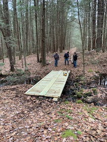 South Brook Footbridge