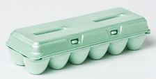 styrofoam egg carton